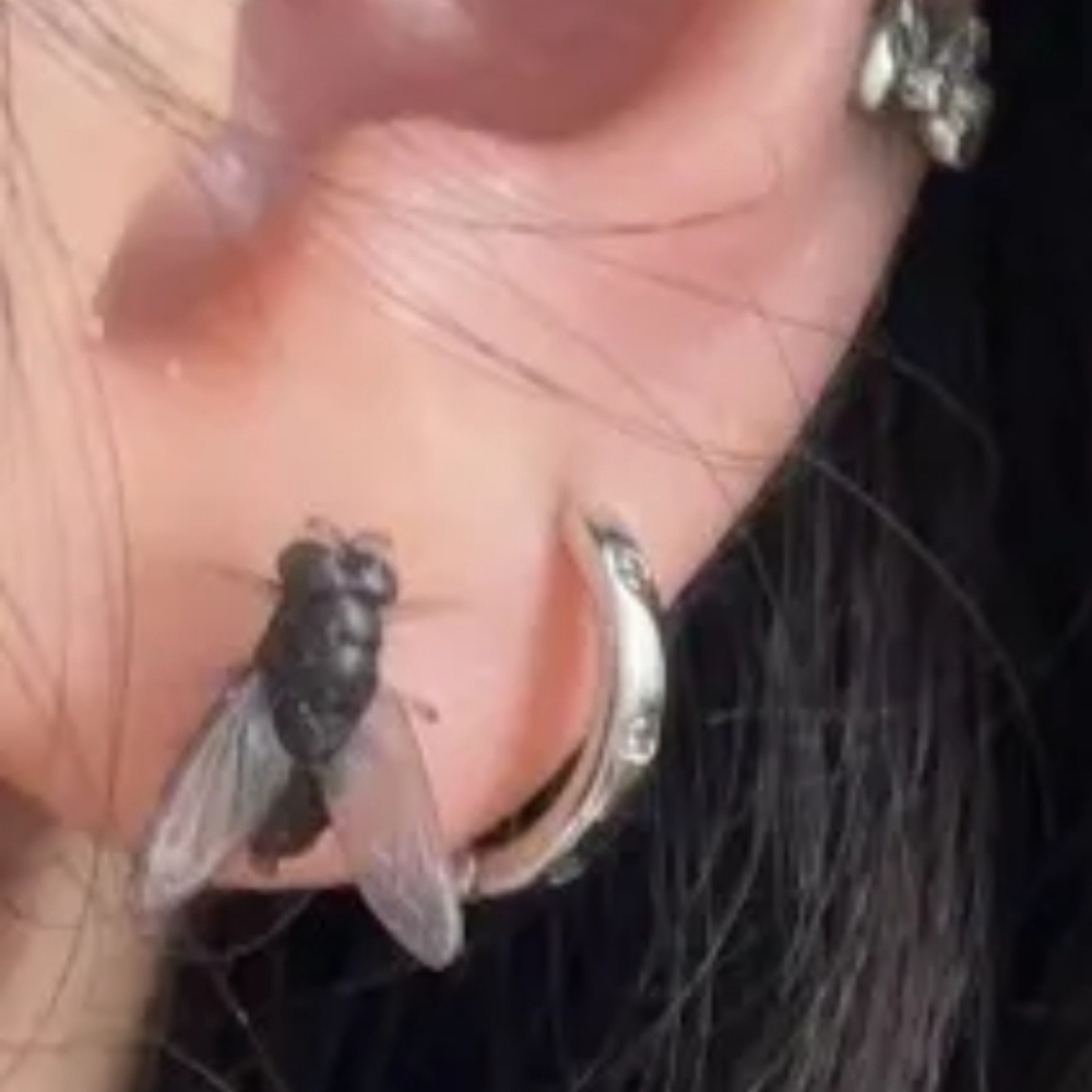 FLY Earrings Halloween Black Fly Stud Earrings Jewelry / Soft Flexible Wings